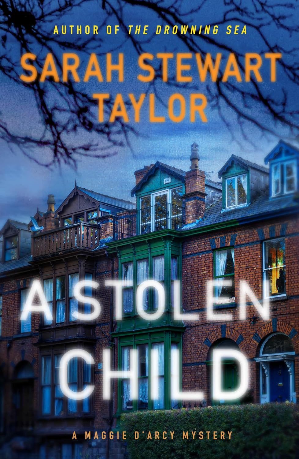Sarah Stewart Taylor: A Stolen Child (2024, Minotaur Books)